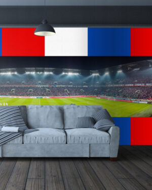 Fototapeta Górnik Zabrze IV