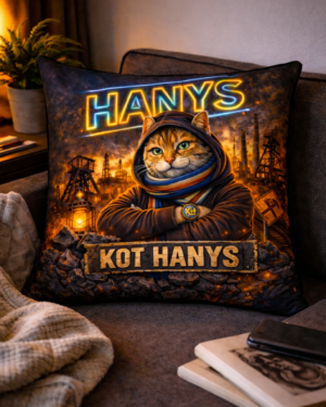 poduszka kot hanys śląska poduszka dekoracyjna 40x40