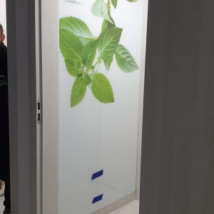 Szkło Hartowane na Wymiar 35