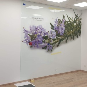 Szkło Hartowane na Wymiar 31