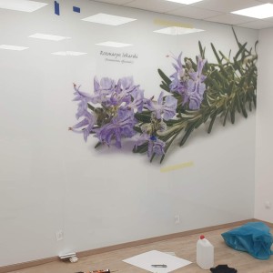 Szkło Hartowane na Wymiar 30