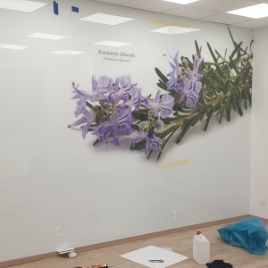 Szkło Hartowane na Wymiar 45