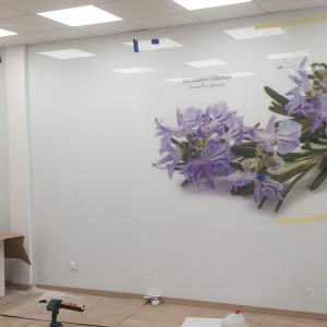 Szkło Hartowane na Wymiar 29