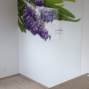 Szkło Hartowane na Wymiar 25