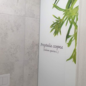 Szkło Hartowane na Wymiar 17