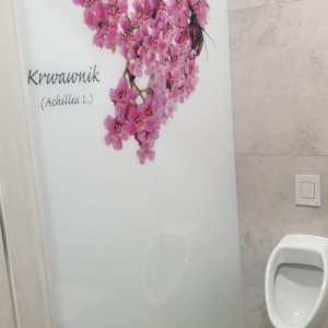 Szkło Hartowane na Wymiar 16