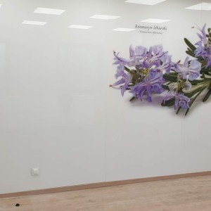 Szkło Hartowane na Wymiar 15