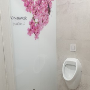 Szkło Hartowane na Wymiar 47