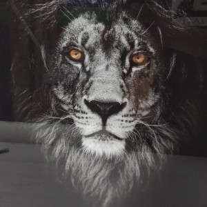 Szkło Hartowane na Wymiar 10